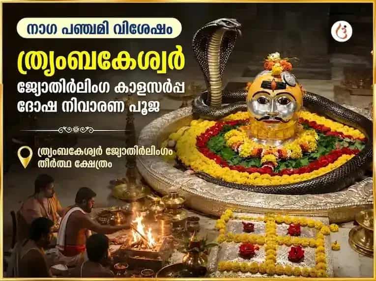 നാഗപഞ്ചമി വിശേഷ് ത്ര്യംബകേശ്വർ ജ്യോതിർലിംഗ കാൾസർപ്പ് ദോഷ് നിവാരൺ പൂജ puja image 1