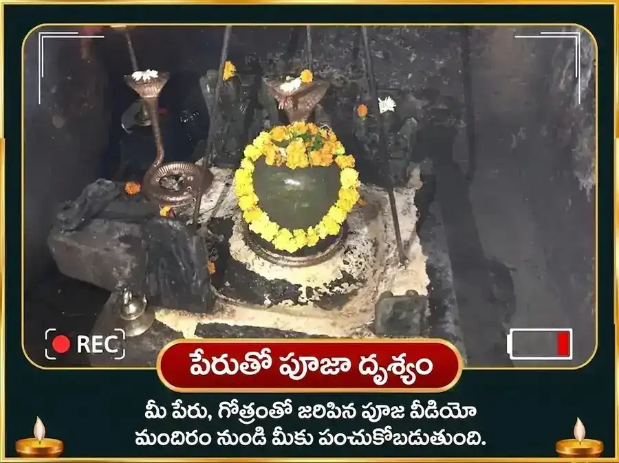 నాగ పంచమి విశేష్ 18000 రాహు మూల మంత్ర జపం puja gallery 2