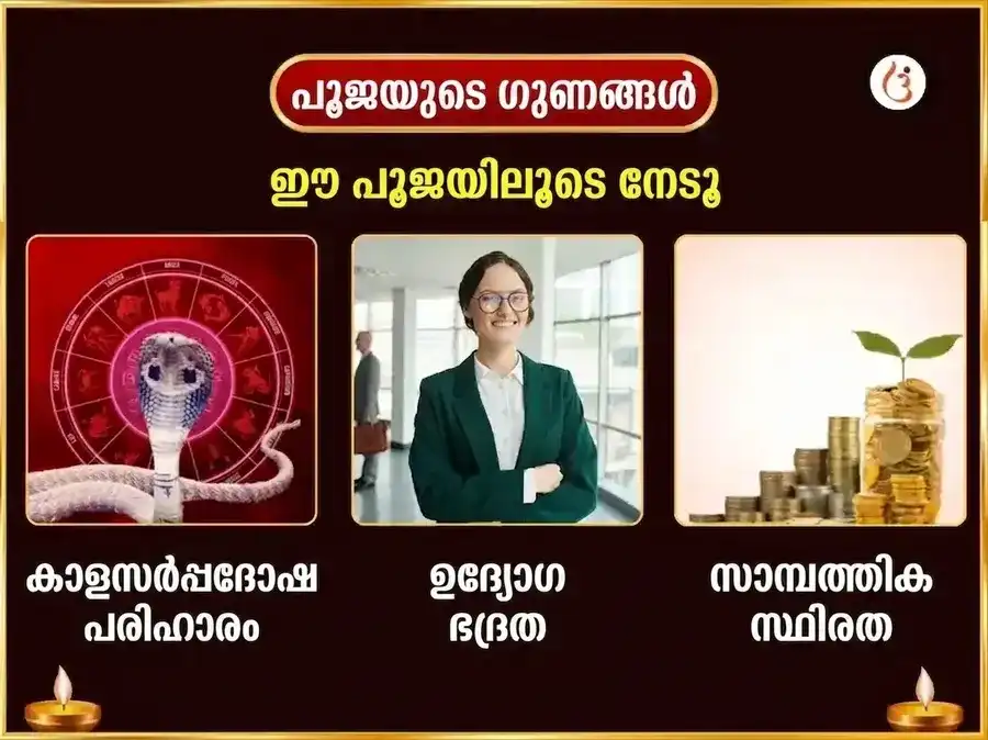 നാഗപഞ്ചമി വിശേഷ് ത്ര്യംബകേശ്വർ ജ്യോതിർലിംഗ കാൾസർപ്പ് ദോഷ് നിവാരൺ പൂജ puja gallery 1