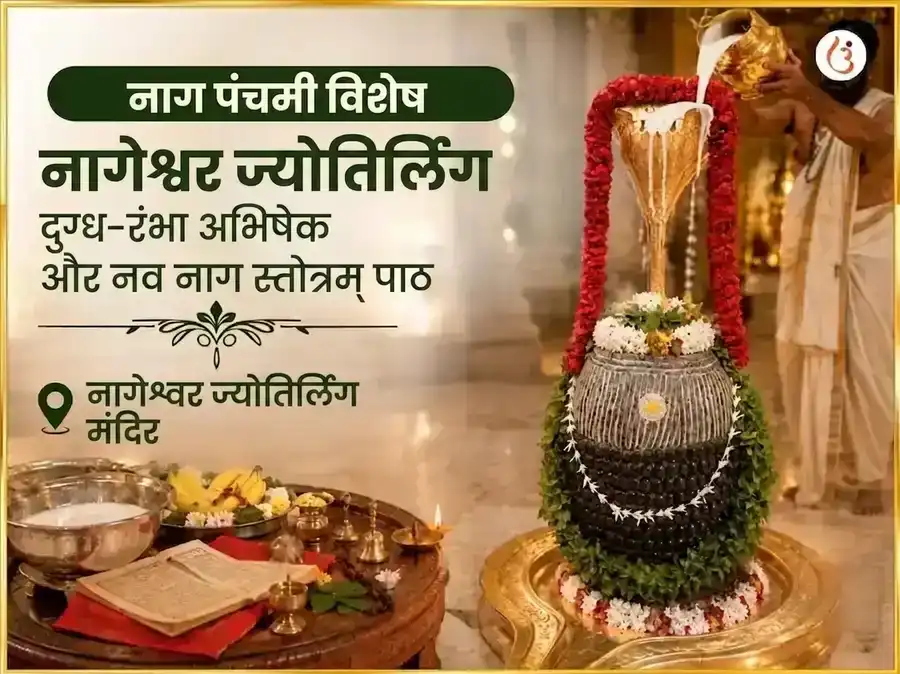 नाग पंचमी विशेष नागेश्वर ज्योतिर्लिंग दुग्ध-रंभा अभिषेक और नव नाग स्तोत्रम् पाठ puja image 1