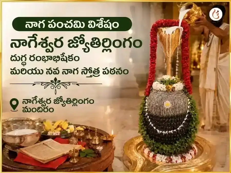 నాగ పంచమి విశేష్ నాగేశ్వర జ్యోతిర్లింగ దుగ్ధ-రంభ అభిషేక్ & నవ నాగ స్తోత్రం పఠనం puja image 1