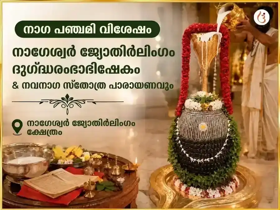 നാഗപഞ്ചമി വിശേഷ് നാഗേശ്വർ ജ്യോതിർലിംഗ ദുഗ്ദ്ധ-രംഭാ അഭിഷേകും നവനാഗ സ്തോത്ര പാഠവും puja image 1
