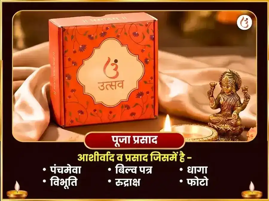 नाग पंचमी विशेष त्र्यंबकेश्वर ज्योतिर्लिंग कालसर्प दोष निवारण पूजा puja gallery 3