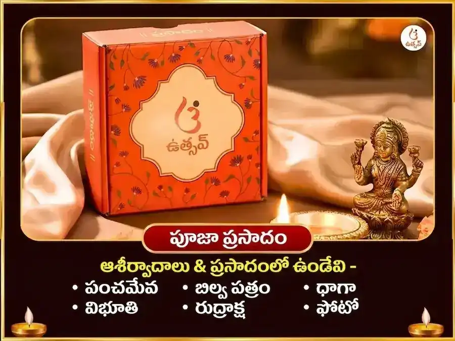 నాగ పంచమి విశేష త్రయంబకేశ్వర్ జ్యోతిర్లింగ కాలసర్ప దోష నివారణ పూజ puja gallery 3