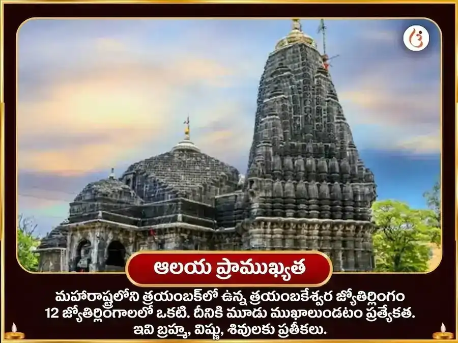నాగ పంచమి విశేష త్రయంబకేశ్వర్ జ్యోతిర్లింగ కాలసర్ప దోష నివారణ పూజ puja gallery 4