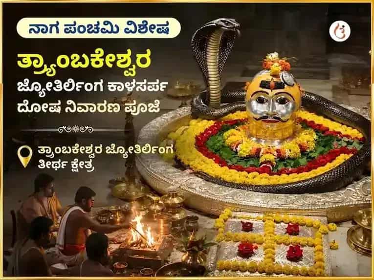 ನಾಗ ಪಂಚಮಿ ವಿಶೇಷ ತ್ರಯಂಬಕೇಶ್ವರ ಜ್ಯೋತಿರ್ಲಿಂಗ ಕಾಳಸರ್ಪ ದೋಷ ನಿವಾರಣ ಪೂಜೆ puja image 1