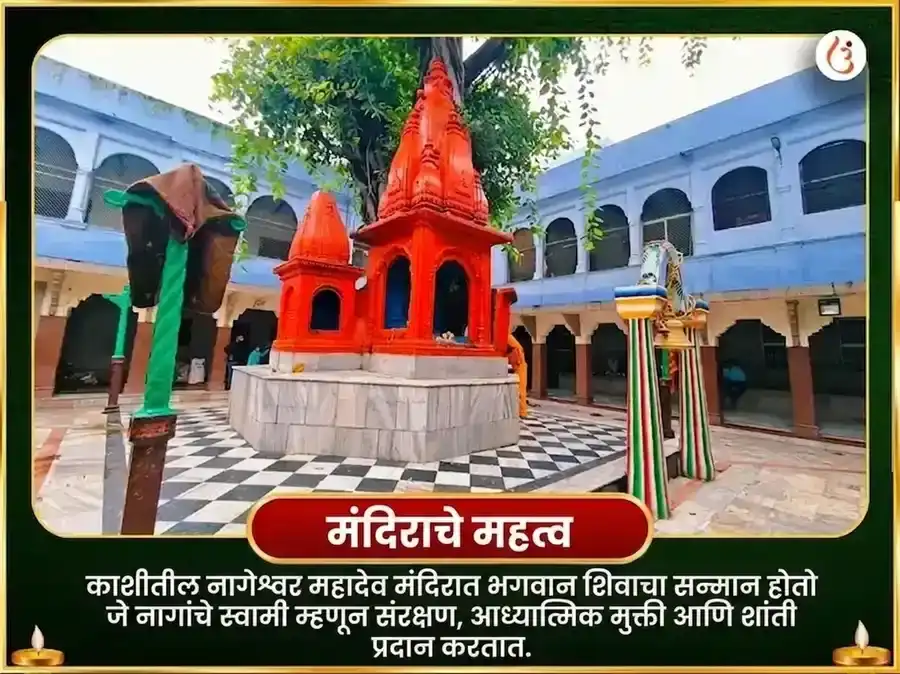 नाग पंचमी विशेष नागेश्वर ज्योतिर्लिंग दुग्ध-रंभा अभिषेक आणि नवनाग स्तोत्र पठण puja gallery 4
