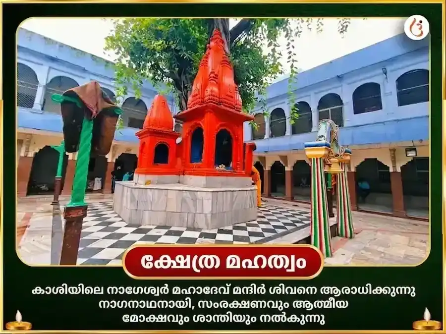 നാഗപഞ്ചമി വിശേഷ് നാഗേശ്വർ ജ്യോതിർലിംഗ ദുഗ്ദ്ധ-രംഭാ അഭിഷേകും നവനാഗ സ്തോത്ര പാഠവും puja gallery 4