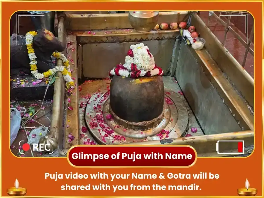 Simha Sakranti Surya Gochar Vishesh 29000 Surya Gayatri Mool Mantra Jaap & Golden Lion Chadava puja gallery 2