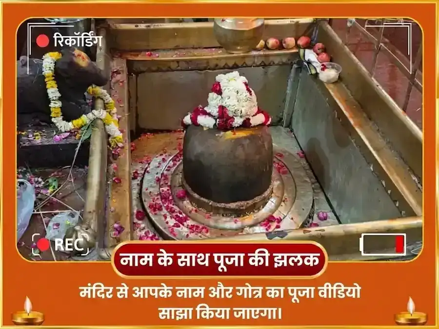 सिंह संक्रांति सूर्य गोचर विशेष 29000 सूर्य गायत्री मूल मंत्र जाप और स्वर्ण सिंह चढ़ावा puja gallery 2