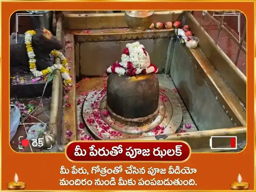 సింహ సంక్రాంతి సూర్య గోచార్ విశేష్ 29000 సూర్య గాయత్రీ మూల మంత్ర జాప్ & స్వర్ణ సింహ చడావా puja gallery 2