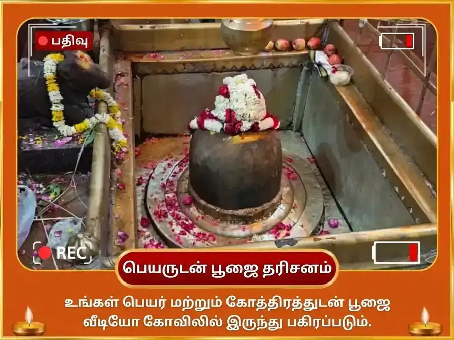 சிம்ம சங்கராந்தி சூரிய கோச்சார விசேஷம் 29000 சூரிய காயத்ரி மூல மந்திர ஜபம் மற்றும் தங்க சிம்ம காணிக்கை puja gallery 2