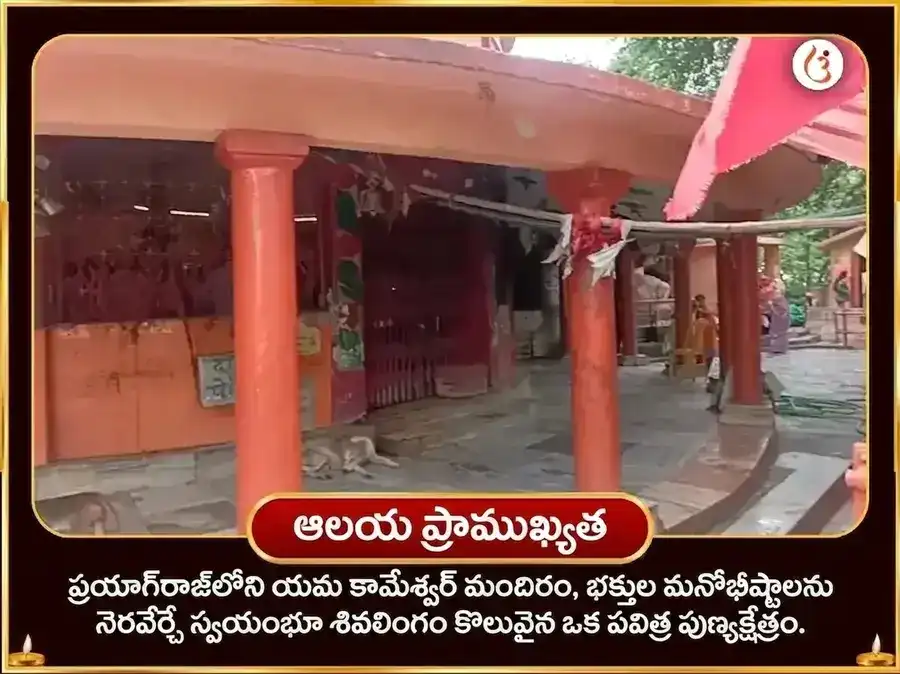శ్రావణ సోమవార విశేష్ రక్త అభిషేక్ మరియు కామేశ్వర్ స్తోత్ర పారాయణం puja gallery 4