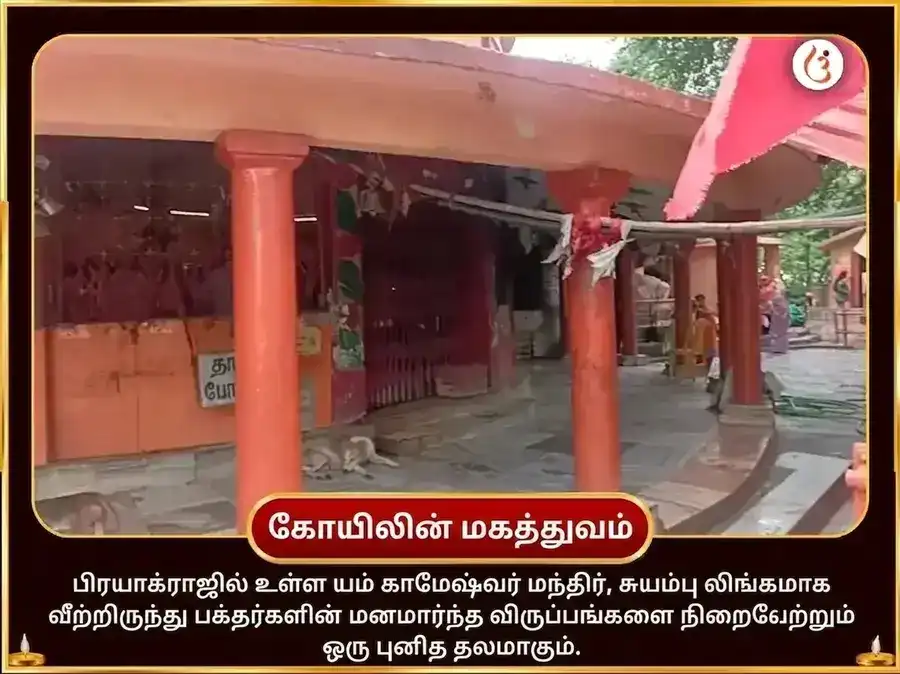 சிராவண சோமவார விசேஷ ரக்த அபிஷேகம் & காமேஷ்வர் ஸ்தோத்திரம் பாராயணம் puja gallery 4