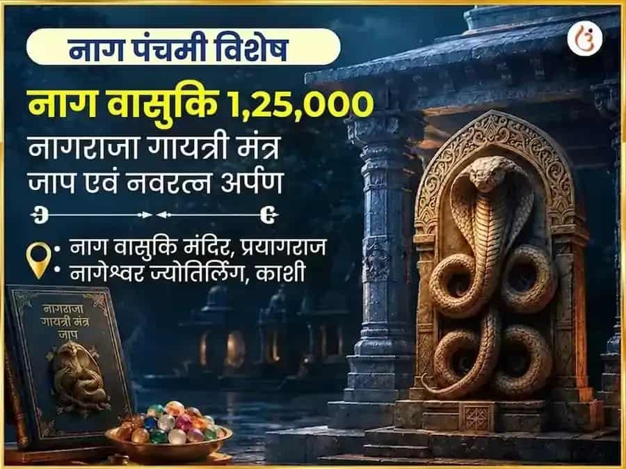 नाग पंचमी विशेष नाग वासुकि 1,25,000 नागराज गायत्री मंत्र जाप और नवरत्न अर्पण puja image 1