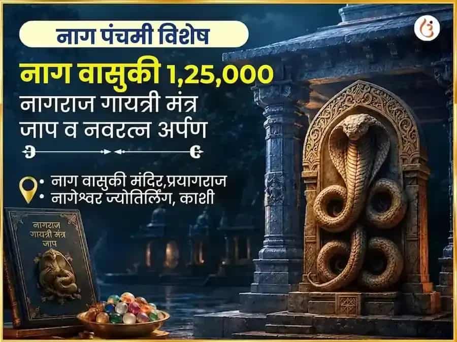 नाग पंचमी विशेष नाग वासुकी 1,25,000 नागराजा गायत्री मंत्र जाप आणि नवरत्न अर्पण puja image 1