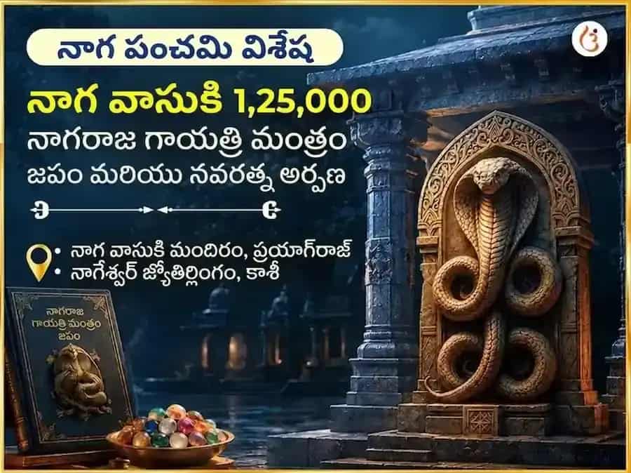 నాగ పంచమి విశేష్ నాగ వాసుకి 1,25,000 నాగరాజ గాయత్రీ మంత్ర జాప్ & నవరత్న అర్పణ్ puja image 1