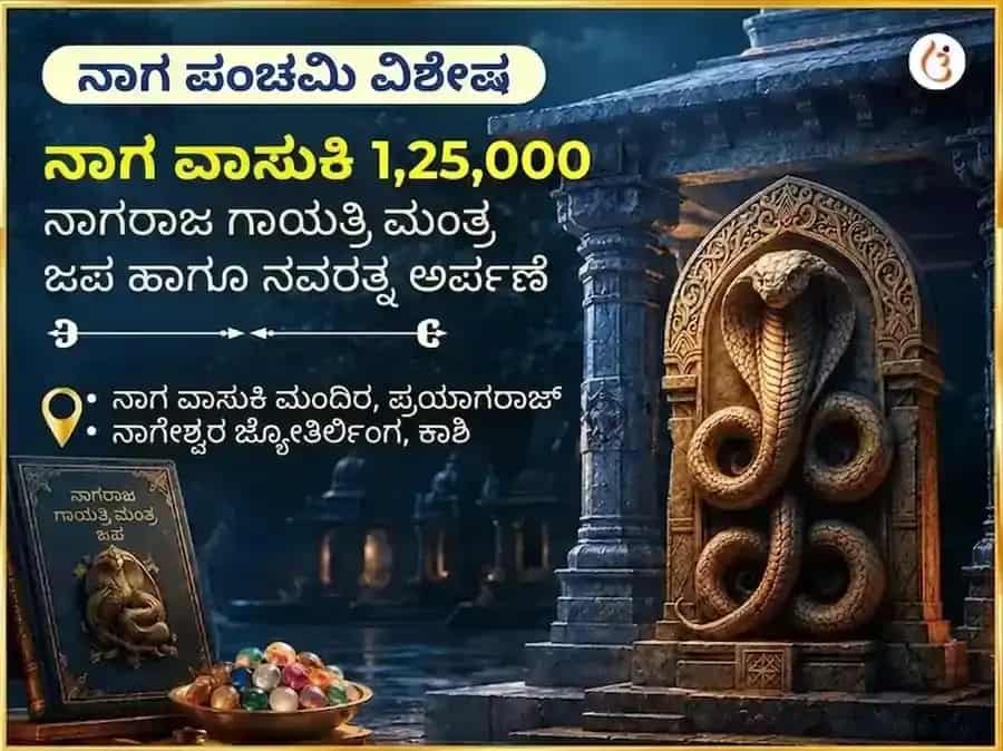 ನಾಗ ಪಂಚಮಿ ವಿಶೇಷ ನಾಗ ವಾಸುಕಿ 1,25,000 ನಾಗರಾಜ ಗಾಯತ್ರಿ ಮಂತ್ರ ಜಪ ಮತ್ತು ನವರತ್ನ ಅರ್ಪಣೆ puja image 1