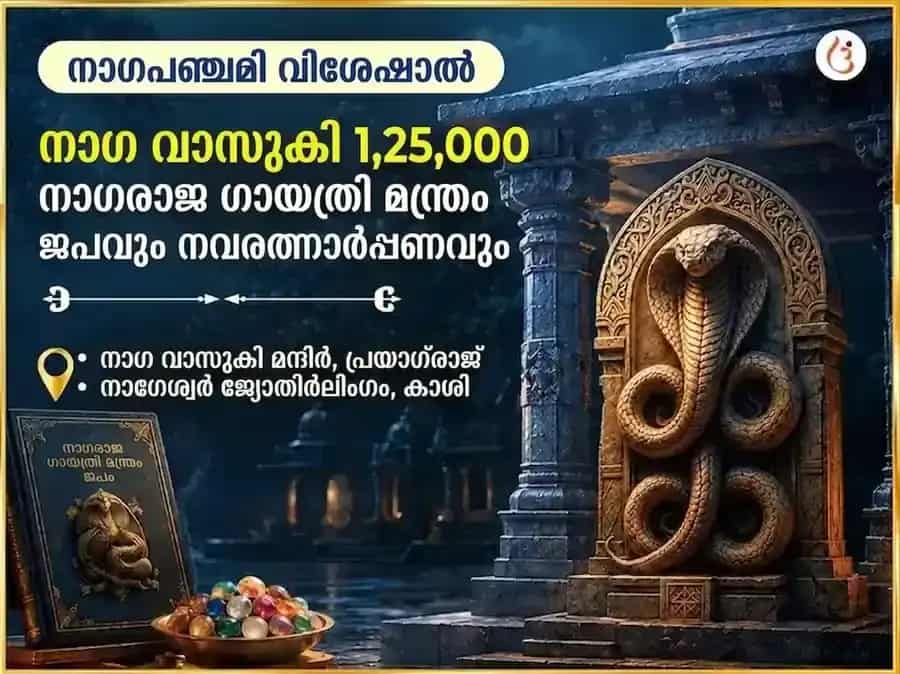 നാഗപഞ്ചമി വിശേഷ് നാഗ വാസുകി 1,25,000 നാഗരാജ ഗായത്രി മന്ത്ര ജപം & നവരത്ന അർപ്പണം puja image 1