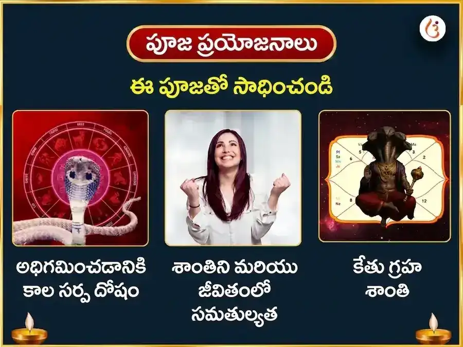 నాగ పంచమి విశేష్ నాగ వాసుకి 1,25,000 నాగరాజ గాయత్రీ మంత్ర జాప్ & నవరత్న అర్పణ్ puja gallery 1