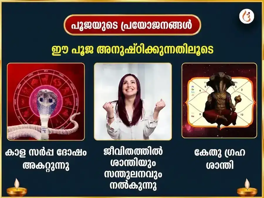 നാഗപഞ്ചമി വിശേഷ് നാഗ വാസുകി 1,25,000 നാഗരാജ ഗായത്രി മന്ത്ര ജപം & നവരത്ന അർപ്പണം puja gallery 1