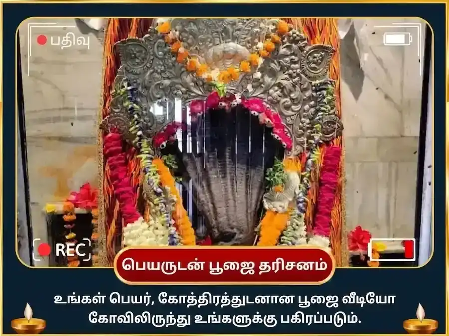 நாக பஞ்சமி விசேஷ நாக வாசுகி 1,25,000 நாகராஜ காயத்ரி மந்திர ஜபம் மற்றும் நவரத்ன அர்ப்பணம் puja gallery 2
