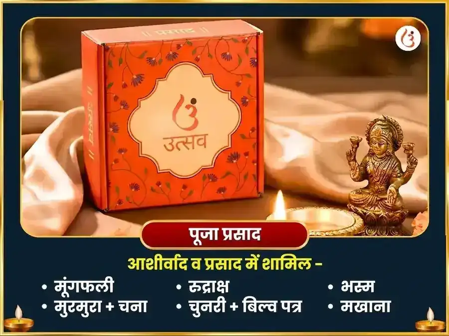 नाग पंचमी विशेष नाग वासुकि 1,25,000 नागराज गायत्री मंत्र जाप और नवरत्न अर्पण puja gallery 3