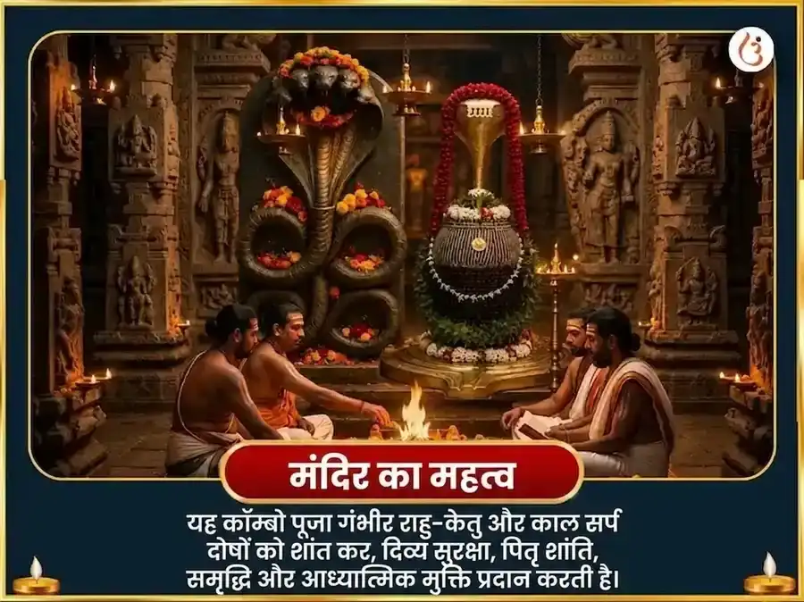 नाग पंचमी विशेष नाग वासुकि 1,25,000 नागराज गायत्री मंत्र जाप और नवरत्न अर्पण puja gallery 4