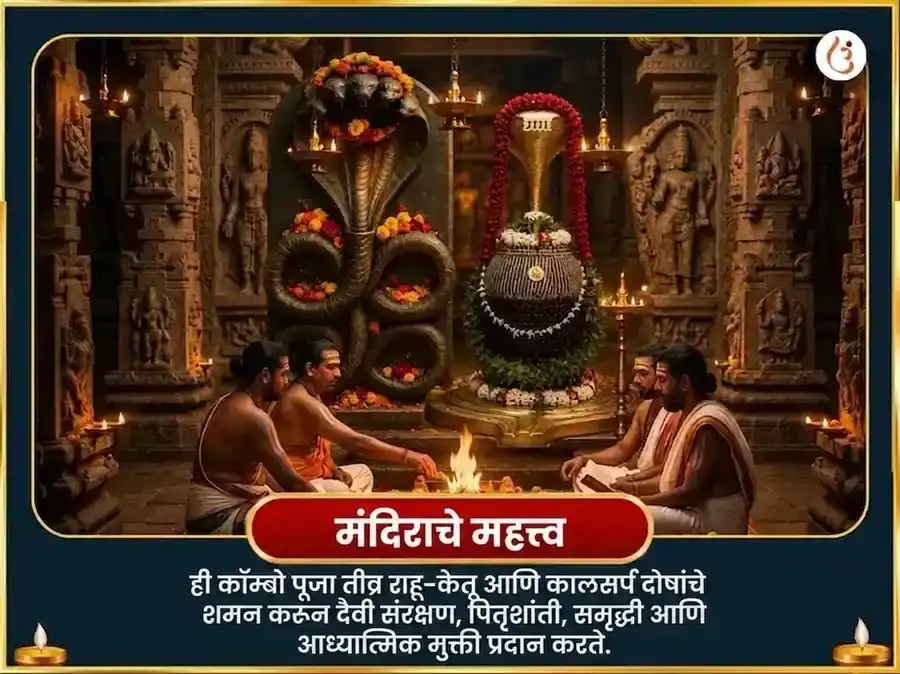 नाग पंचमी विशेष नाग वासुकी 1,25,000 नागराजा गायत्री मंत्र जाप आणि नवरत्न अर्पण puja gallery 4