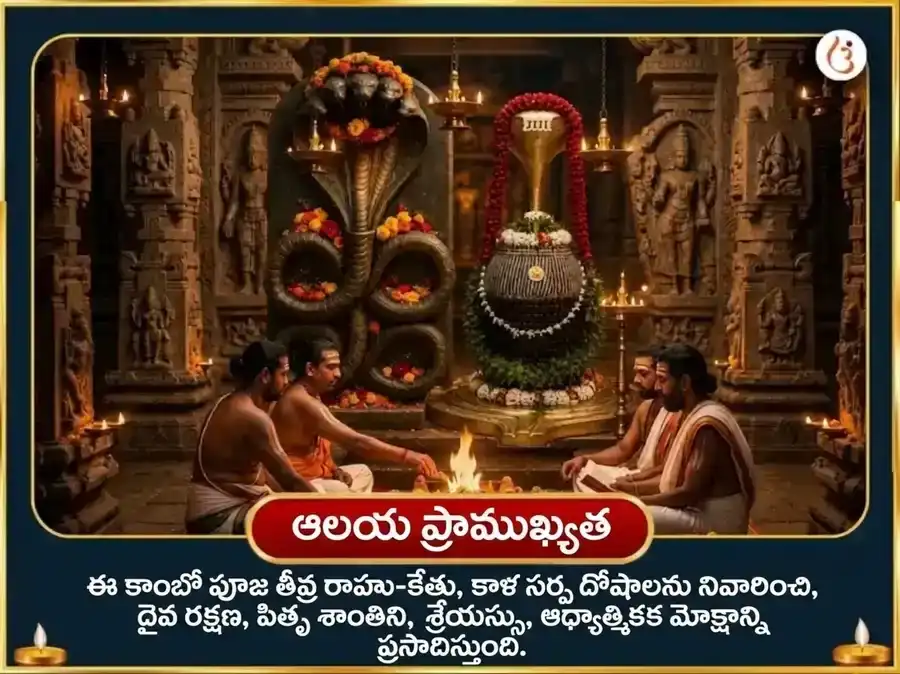 నాగ పంచమి విశేష్ నాగ వాసుకి 1,25,000 నాగరాజ గాయత్రీ మంత్ర జాప్ & నవరత్న అర్పణ్ puja gallery 4