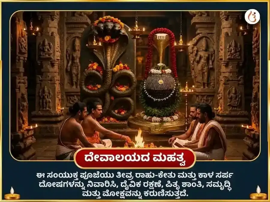 ನಾಗ ಪಂಚಮಿ ವಿಶೇಷ ನಾಗ ವಾಸುಕಿ 1,25,000 ನಾಗರಾಜ ಗಾಯತ್ರಿ ಮಂತ್ರ ಜಪ ಮತ್ತು ನವರತ್ನ ಅರ್ಪಣೆ puja gallery 4