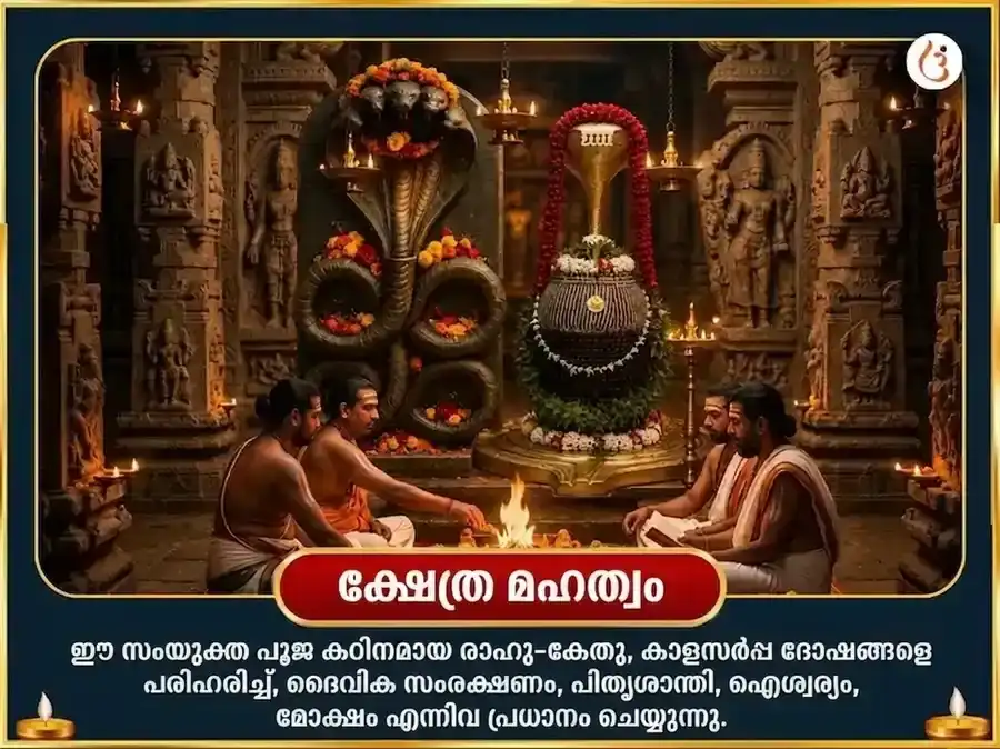 നാഗപഞ്ചമി വിശേഷ് നാഗ വാസുകി 1,25,000 നാഗരാജ ഗായത്രി മന്ത്ര ജപം & നവരത്ന അർപ്പണം puja gallery 4