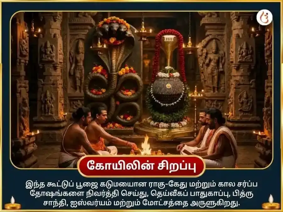 நாக பஞ்சமி விசேஷ நாக வாசுகி 1,25,000 நாகராஜ காயத்ரி மந்திர ஜபம் மற்றும் நவரத்ன அர்ப்பணம் puja gallery 4