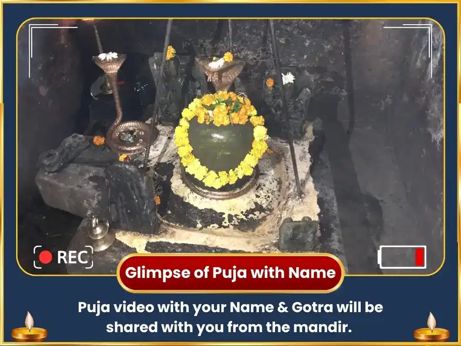 Solar Eclipse & Grand Stellium Special Wealth Expansion 44,000 Rahu Mool Mantra Jaap & Buffalo Seva puja gallery 2