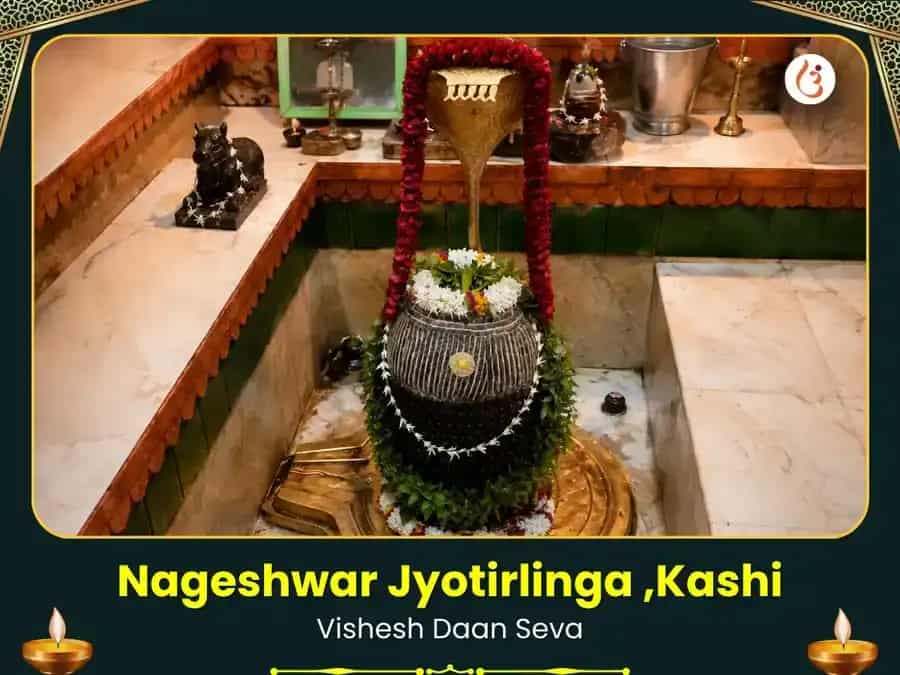 Nageshwar Jyotirlinga Kashi Visesh Daan Seva puja image 1