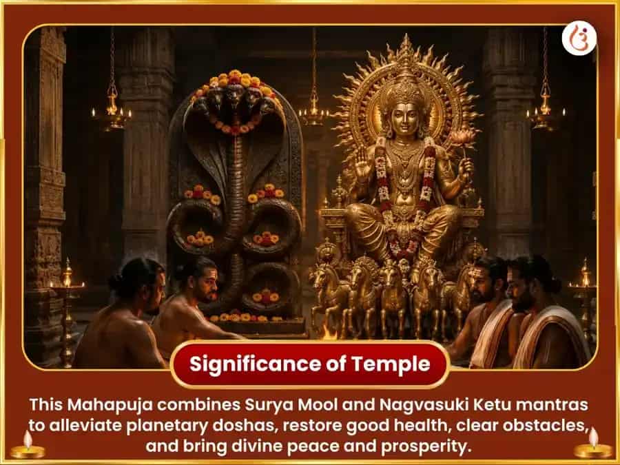 Surya Ketu Sanyog Visesh 10000 Surya Mool Mantra Jaap & Nagvasuki Ketu Shanti Maha Puja puja gallery 5