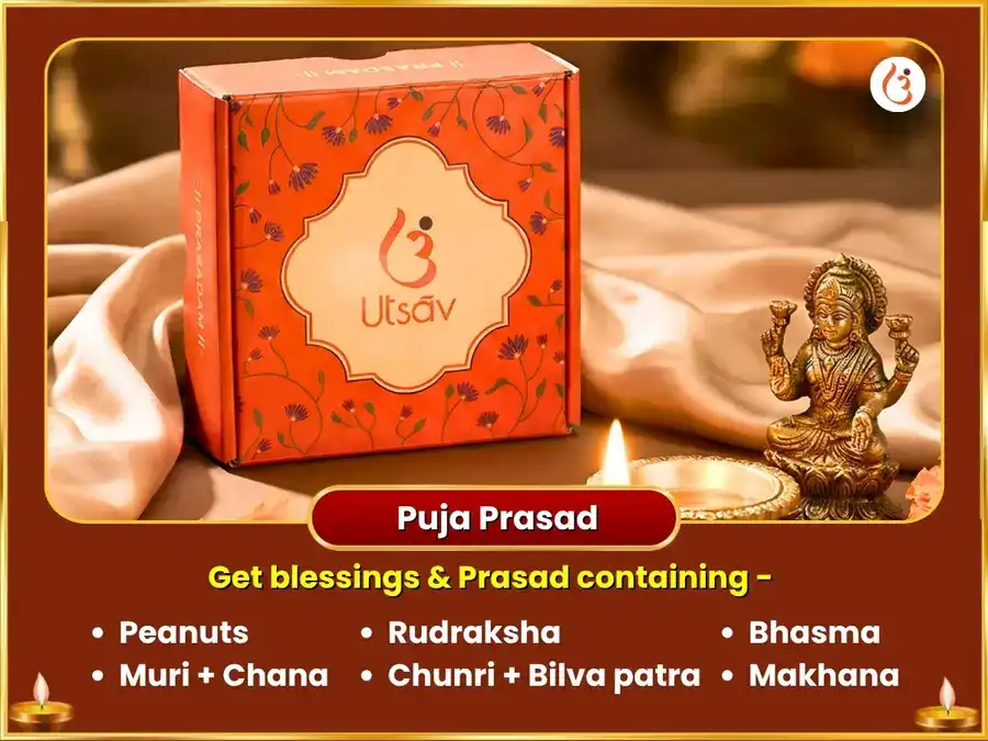 Surya Ketu Sanyog Visesh 10000 Surya Mool Mantra Jaap & Nagvasuki Ketu Shanti Maha Puja puja gallery 3