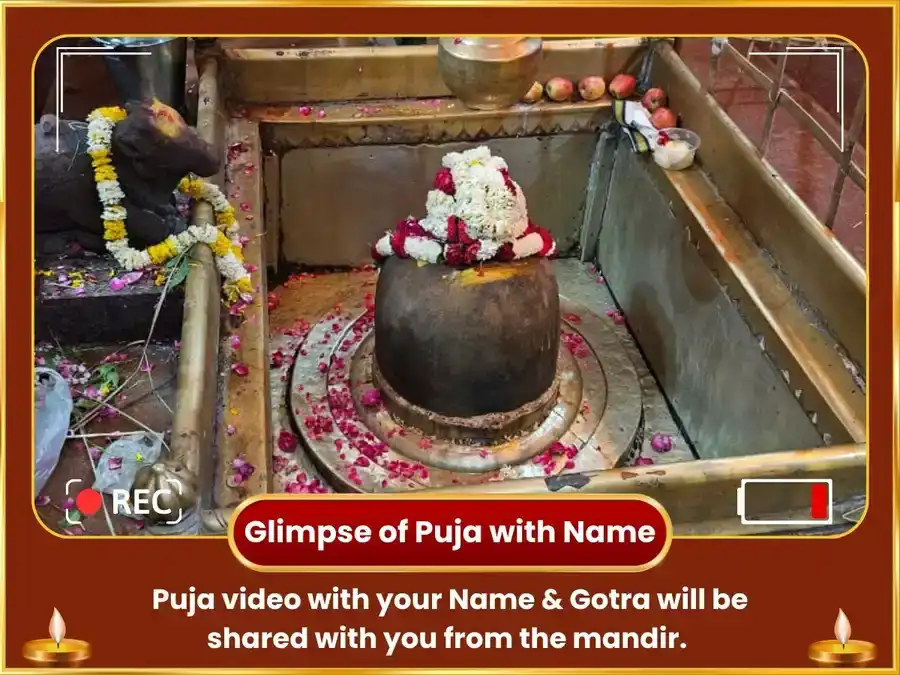 Surya Ketu Sanyog Visesh 10000 Surya Mool Mantra Jaap & Nagvasuki Ketu Shanti Maha Puja puja gallery 2