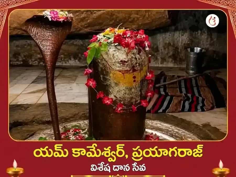 యమ కామేశ్వర మహాదేవ విశేష్ దాన్ సేవ puja image 1