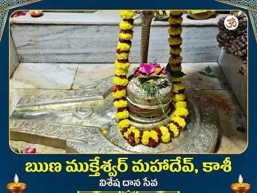 ఋణ ముక్తేశ్వర మహాదేవ విశేష దాన సేవ puja image 1