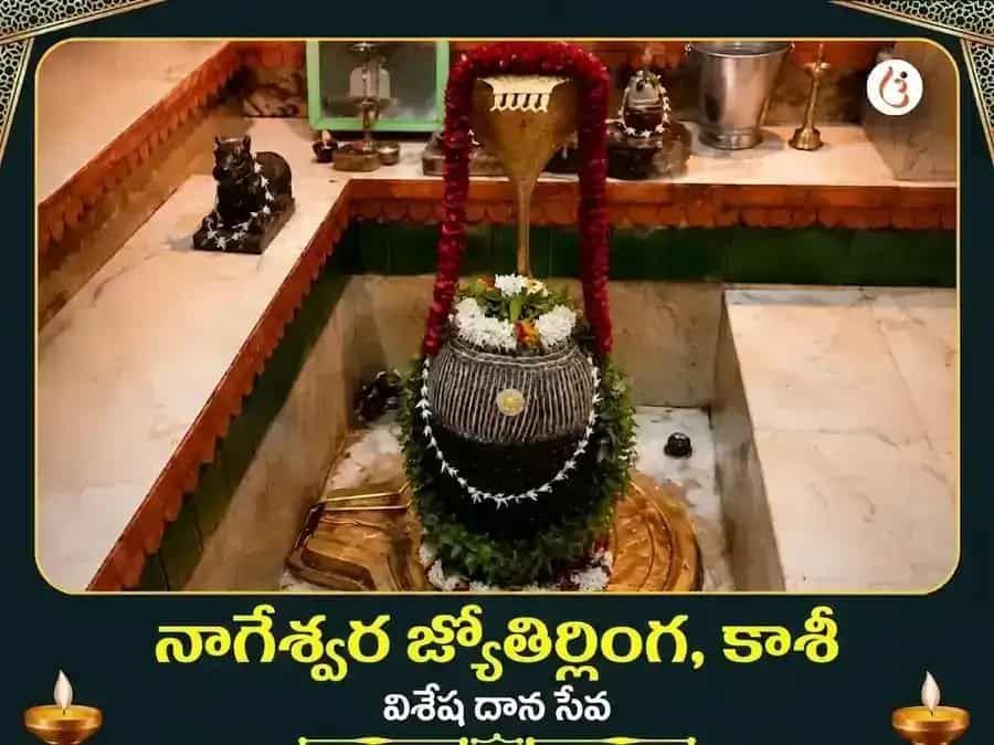 నాగేశ్వర జ్యోతిర్లింగ కాశీ విశేష దాన సేవ puja image 1