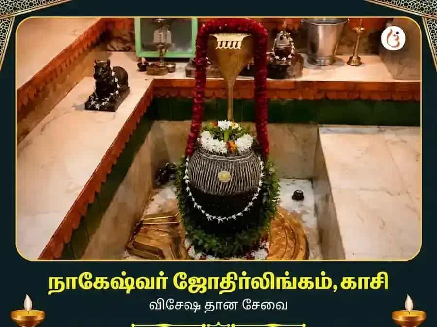 நாகேஷ்வர் ஜ்யோதிர்லிங்க காசி விசேஷ தான சேவா puja image 1