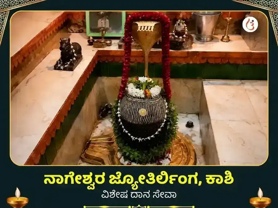 ನಾಗೇಶ್ವರ ಜ್ಯೋತಿರ್ಲಿಂಗ ಕಾಶಿ ವಿಶೇಷ ದಾನ ಸೇವಾ puja image 1