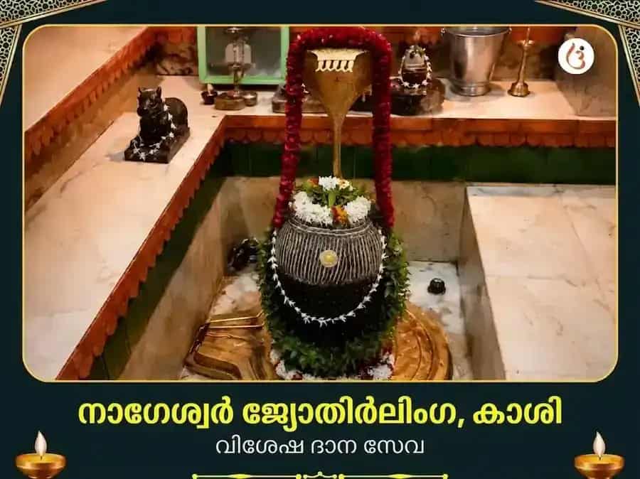 നാഗേശ്വർ ജ്യോതിർലിംഗ കാശി വിശേഷ് ദാന സേവ puja image 1