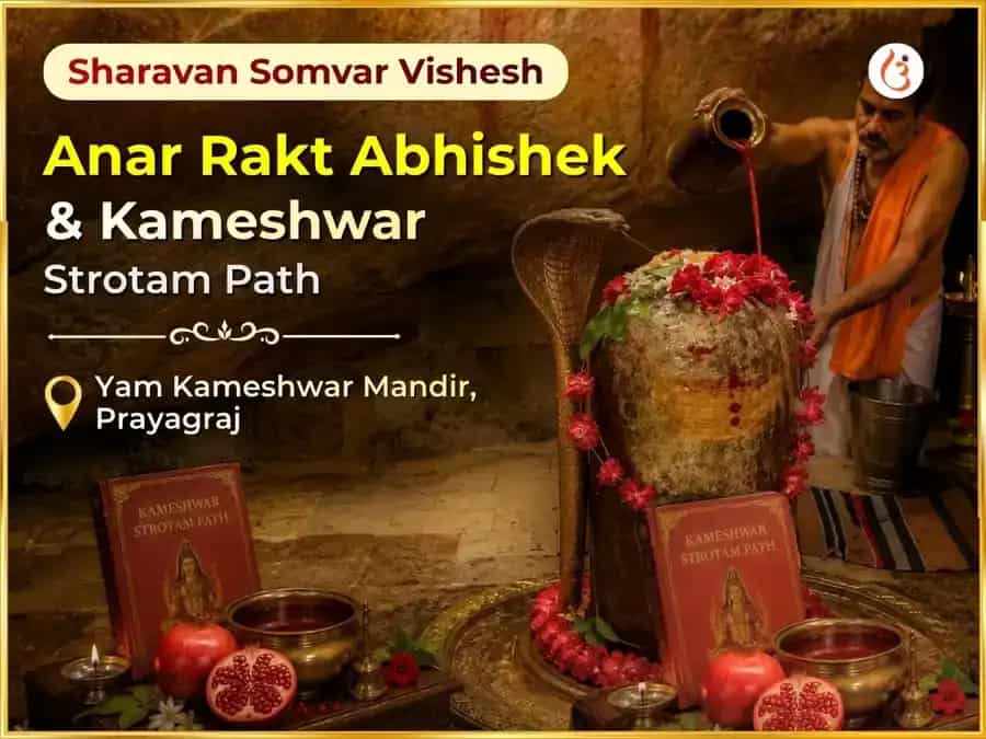 Sharavan Somvar Vishesh Anar Rakt Abhishek & Kameshwar Strotam Path puja image 1
