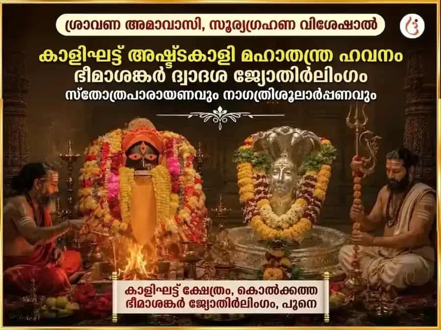 ശ്രാവണ അമാവാസി & സൂര്യഗ്രഹണ വിശേഷ് കാളിഘട്ട് അഷ്ടകാളി മഹാതന്ത്ര ഹവനം & ഭീമശങ്കർ ജ്യോതിർലിംഗ ദ്വാദശ ജ്യോതിർലിംഗ & നാഗ ത്രിശൂൽ അർപ്പൺ puja image 1