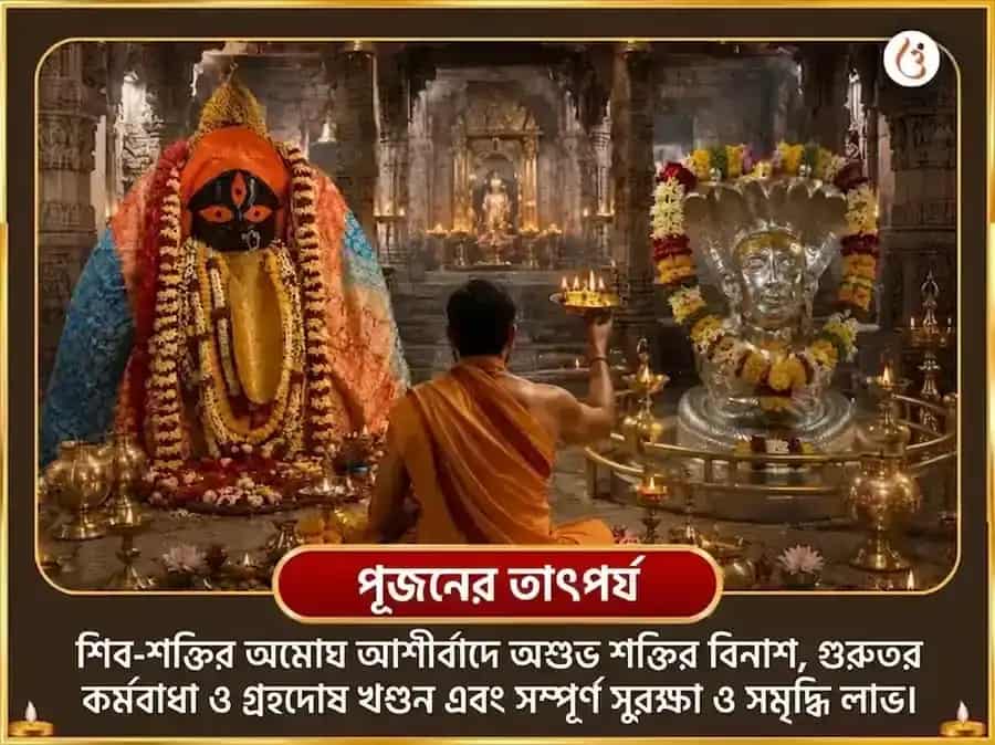 শ্রাবণ অমাবস্যা ও সূর্য গ্রহণ বিশেষ কালীঘাট অষ্ট কালী মহা তন্ত্র हवन ও ভীমশঙ্কর জ্যোতির্লিঙ্গ দ্বাদশ জ্যোতির্লিঙ্গ ও নাগ ত্রিশূল অর্পণ puja gallery 5