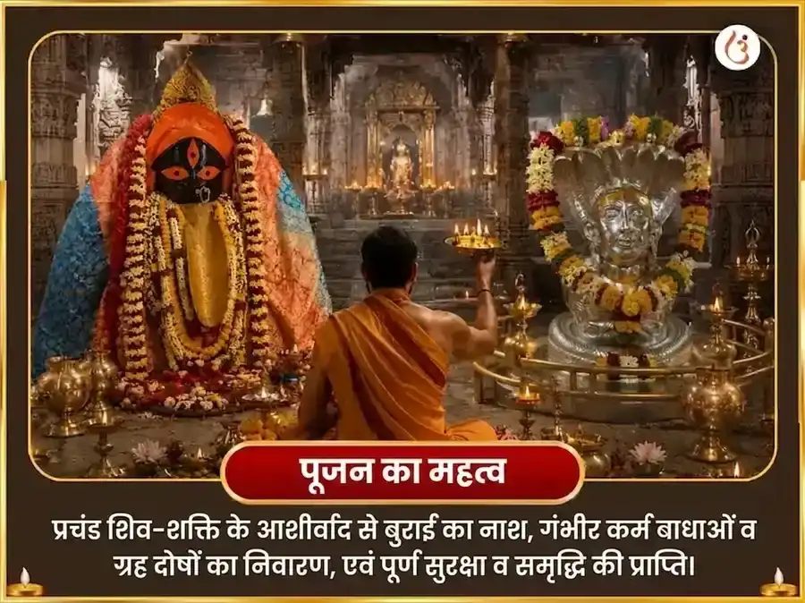 श्रावण अमावस्या और सूर्य ग्रहण विशेष कालीघाट अष्ट काली महा तंत्र हवन और भीमाशंकर ज्योतिर्लिंग द्वादश ज्योतिर्लिंग और नाग त्रिशूल अर्पण puja gallery 5