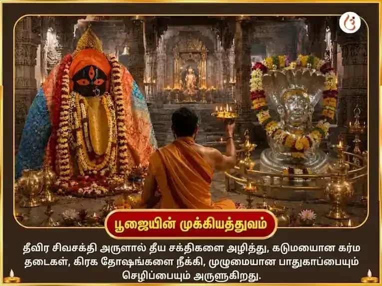 ஷ்ராவண அமாவாசை & சூர்ய கிரகண விசேஷ காளிகாட் அஷ்ட காளி மகா தந்திர ஹவன் & பீமாசங்கர் ஜோதிர்லிங்க த்வாதச ஜோதிர்லிங்கம் & நாக் த்ரிஷூல் அர்ப்பணம் puja gallery 5