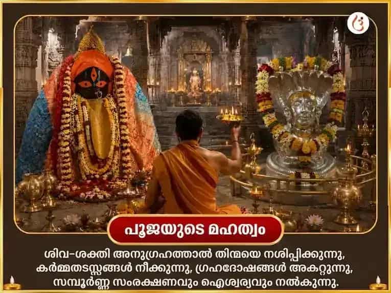 ശ്രാവണ അമാവാസി & സൂര്യഗ്രഹണ വിശേഷ് കാളിഘട്ട് അഷ്ടകാളി മഹാതന്ത്ര ഹവനം & ഭീമശങ്കർ ജ്യോതിർലിംഗ ദ്വാദശ ജ്യോതിർലിംഗ & നാഗ ത്രിശൂൽ അർപ്പൺ puja gallery 5